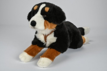 Plüsch Berner Sennenhund groß 62cm